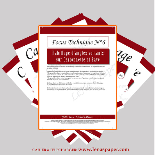 FOCUS N°6 - Cahier à Télécharger LeNa's Paper