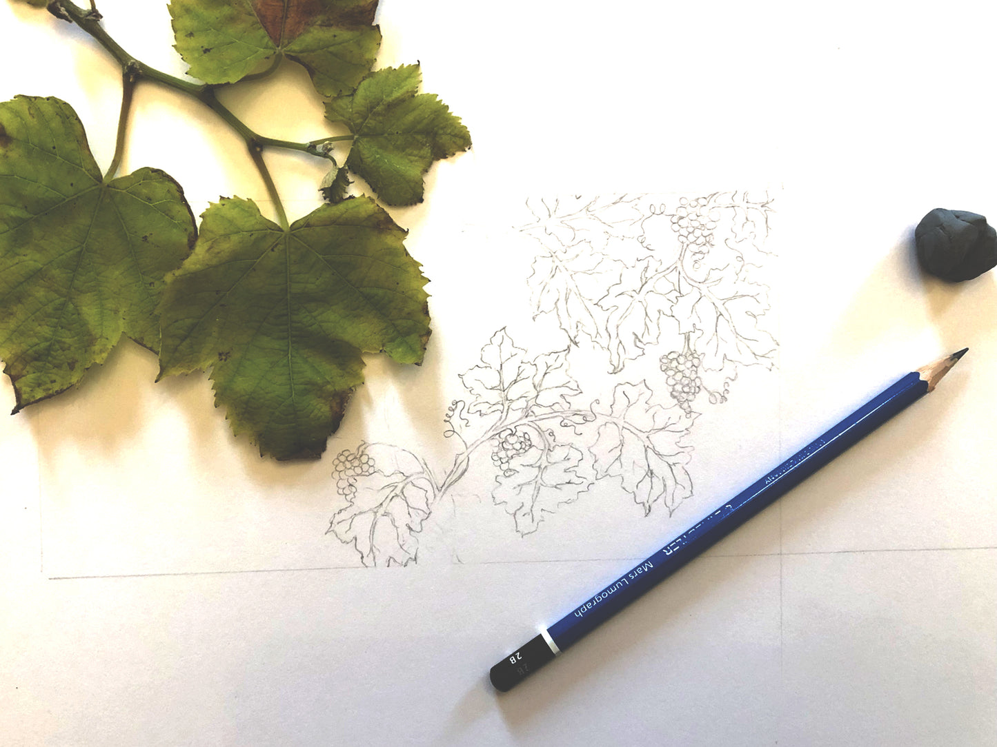 Set de 2 Carnets A5 + A6 DIONYS - papetrie fleurie Lena's Paper