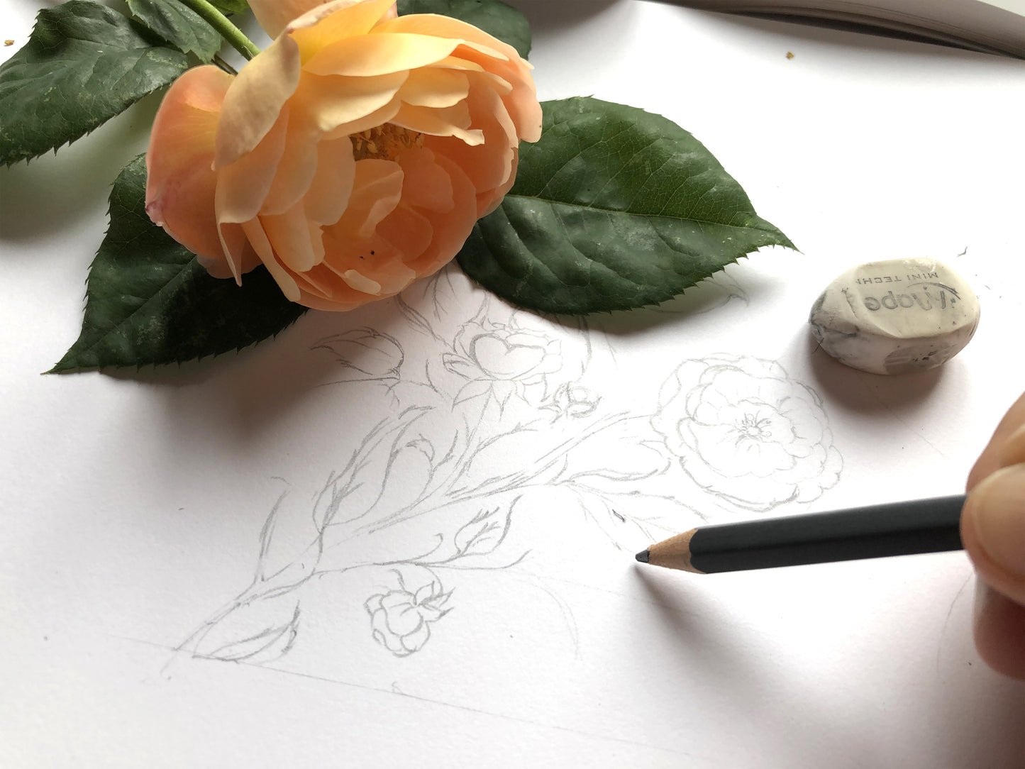 Set de 2 Carnets A5 + A6 ROSY - jolie papeterie fleurie Lena's Paper