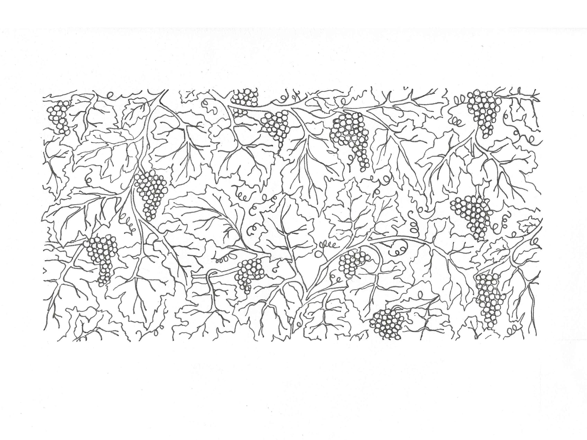 Set de 2 Carnets A5 + A6 DIONYS - papetrie fleurie Lena's Paper